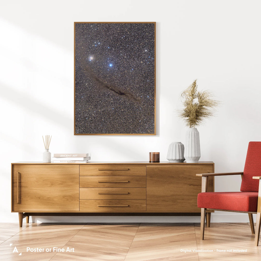 Michael Sidonio: The Dark Doodad in Musca Poster