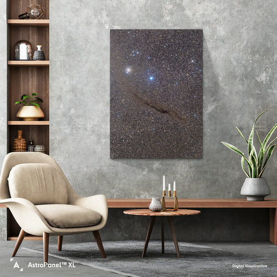 Michael Sidonio: The Dark Doodad in Musca Poster