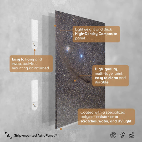 Michael Sidonio: The Dark Doodad in Musca Poster