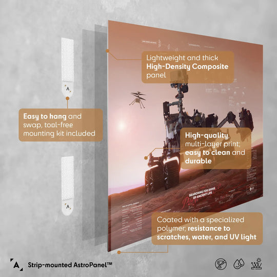 Jesion: NASA Mars 2020 Perseverance Poster