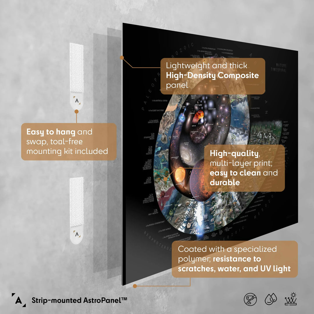 Pablo Carlos Budassi: Nature Timespiral Poster