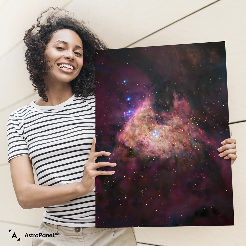 Robert Gendler: M42 Orion Nebula Core (Visible Light-Infrared Composite)