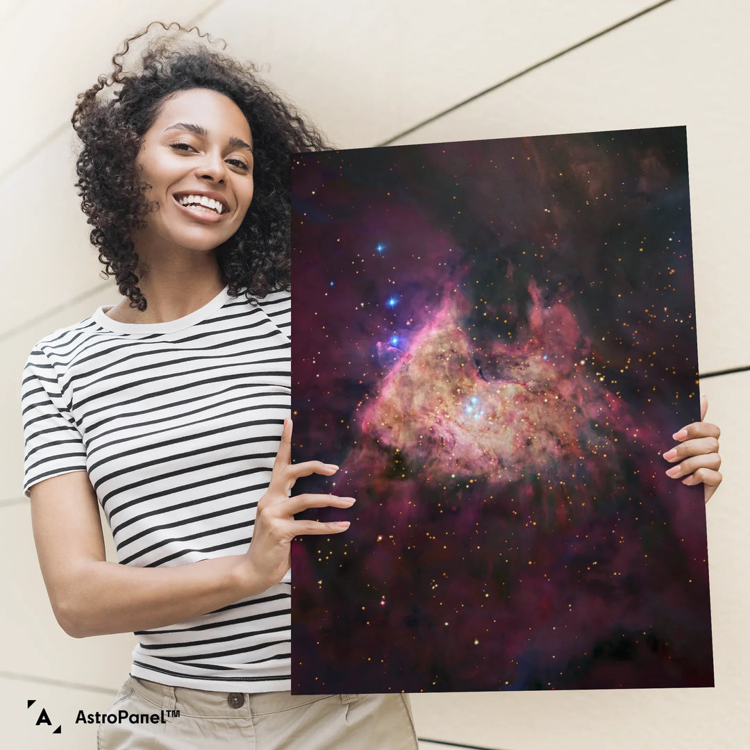 Robert Gendler: M42 Orion Nebula Core (Visible Light-Infrared Composite)