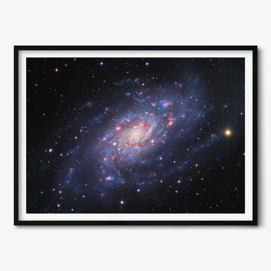 Robert Gendler: Spiral Galaxy in Camelopardalis (NGC 2403) Poster