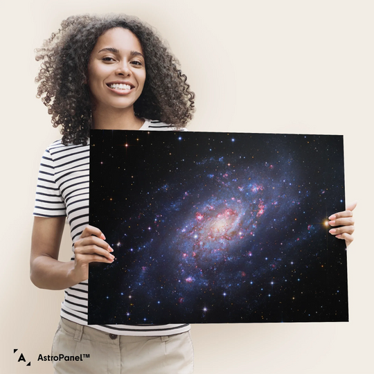 Robert Gendler: Spiral Galaxy in Camelopardalis (NGC 2403) Poster
