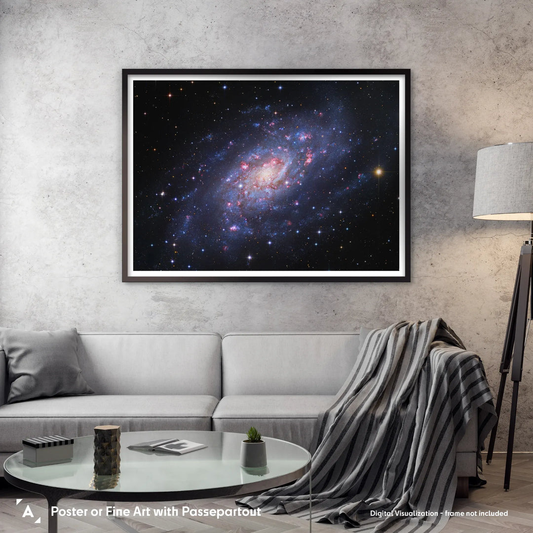 Robert Gendler: Spiral Galaxy in Camelopardalis (NGC 2403) Poster