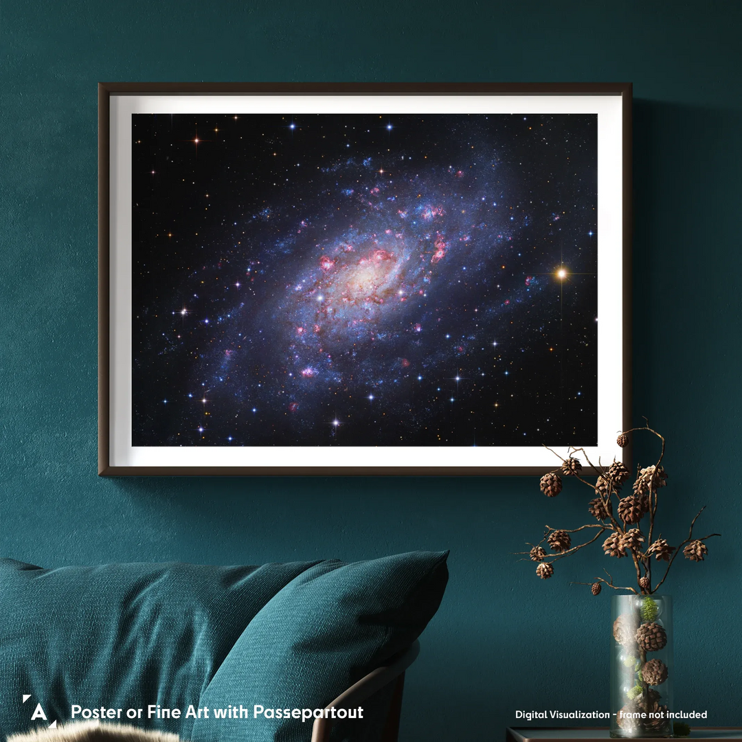 Robert Gendler: Spiral Galaxy in Camelopardalis (NGC 2403) Poster