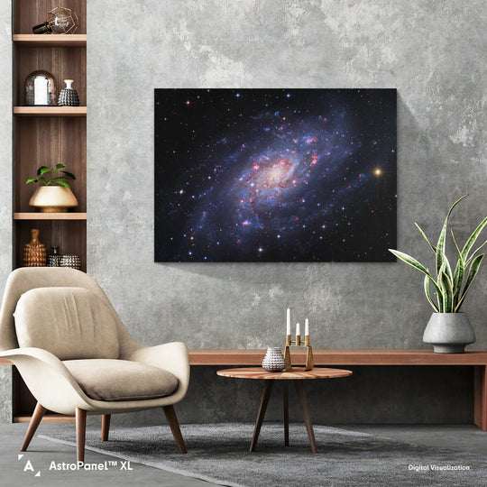 Robert Gendler: Spiral Galaxy in Camelopardalis (NGC 2403) Poster
