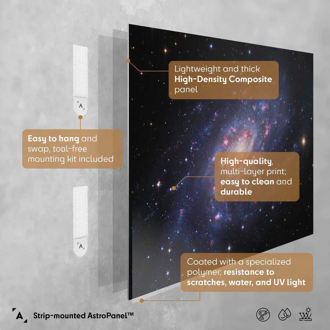 Robert Gendler: Spiral Galaxy in Camelopardalis (NGC 2403) Poster
