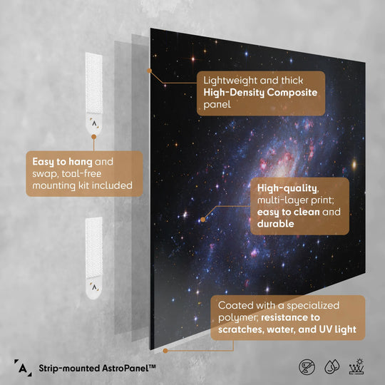 Robert Gendler: Spiral Galaxy in Camelopardalis (NGC 2403) Poster
