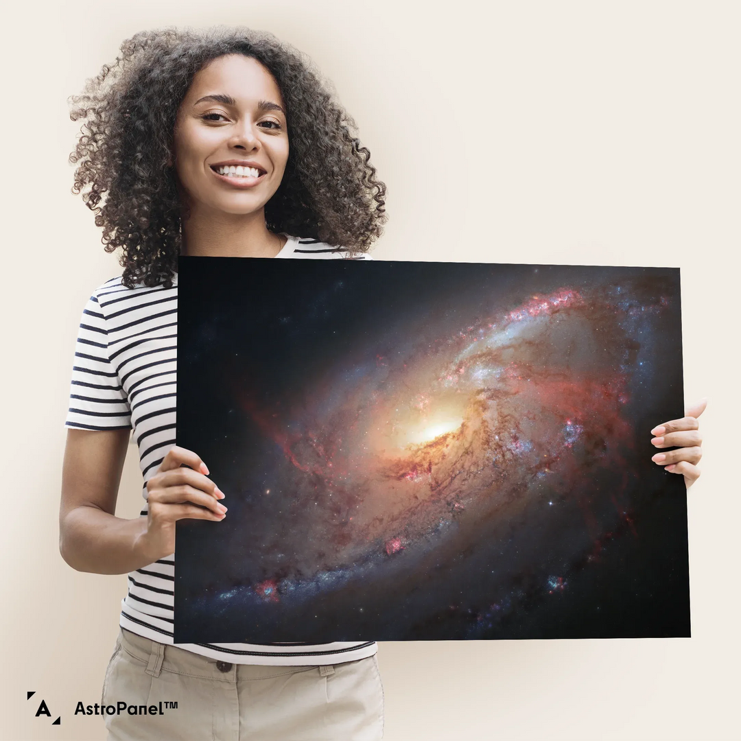 Robert Gendler: Spiral Galaxy in Canes Venatici (M106) Print