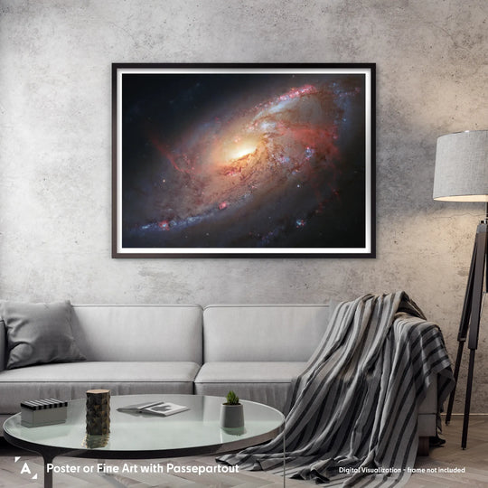 Robert Gendler: Spiral Galaxy in Canes Venatici (M106) Print