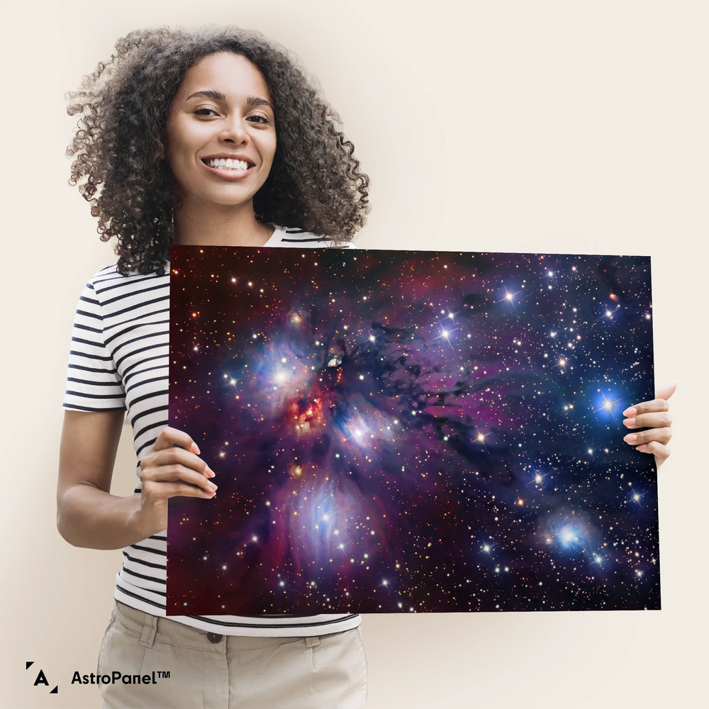 Robert Gendler: Stellar Nursery in Monoceros (NGC 2170) Poster