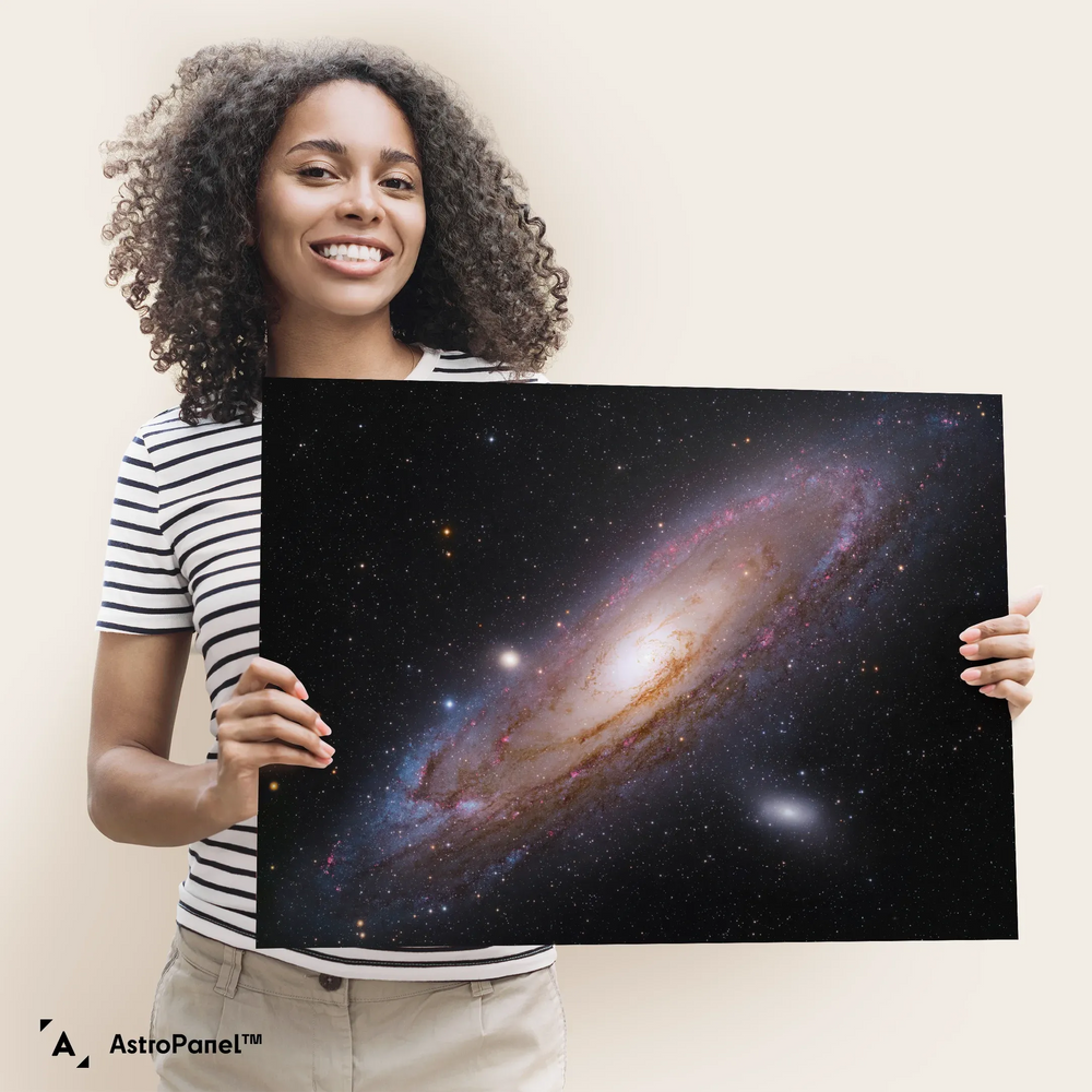 Robert Gendler: The Andromeda Galaxy (M31) Poster