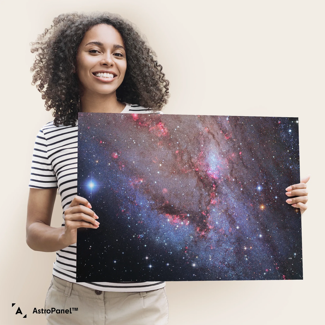 Robert Gendler: The Andromeda Galaxy - Southwest Arm (M31)