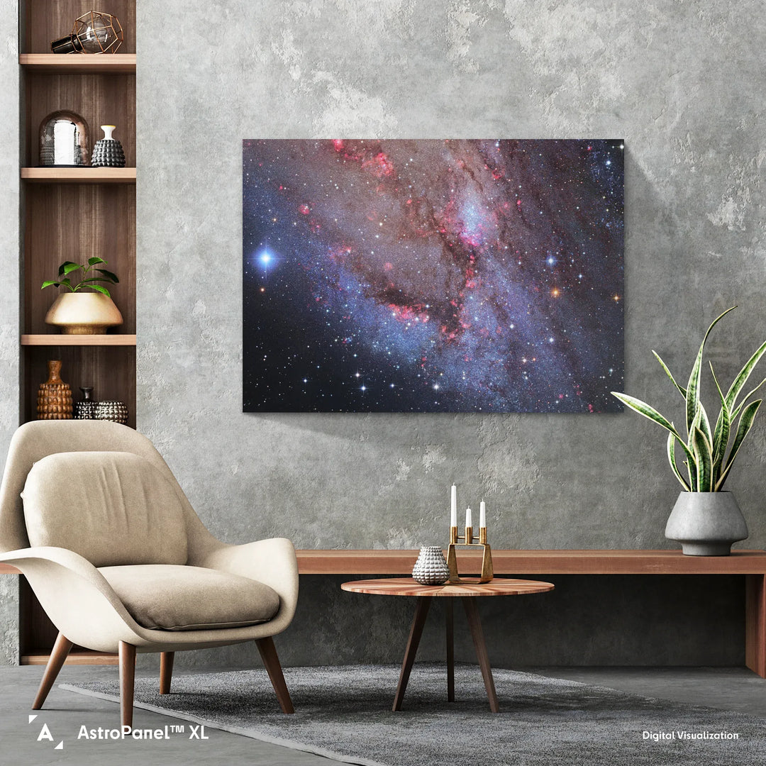Robert Gendler: The Andromeda Galaxy - Southwest Arm (M31)