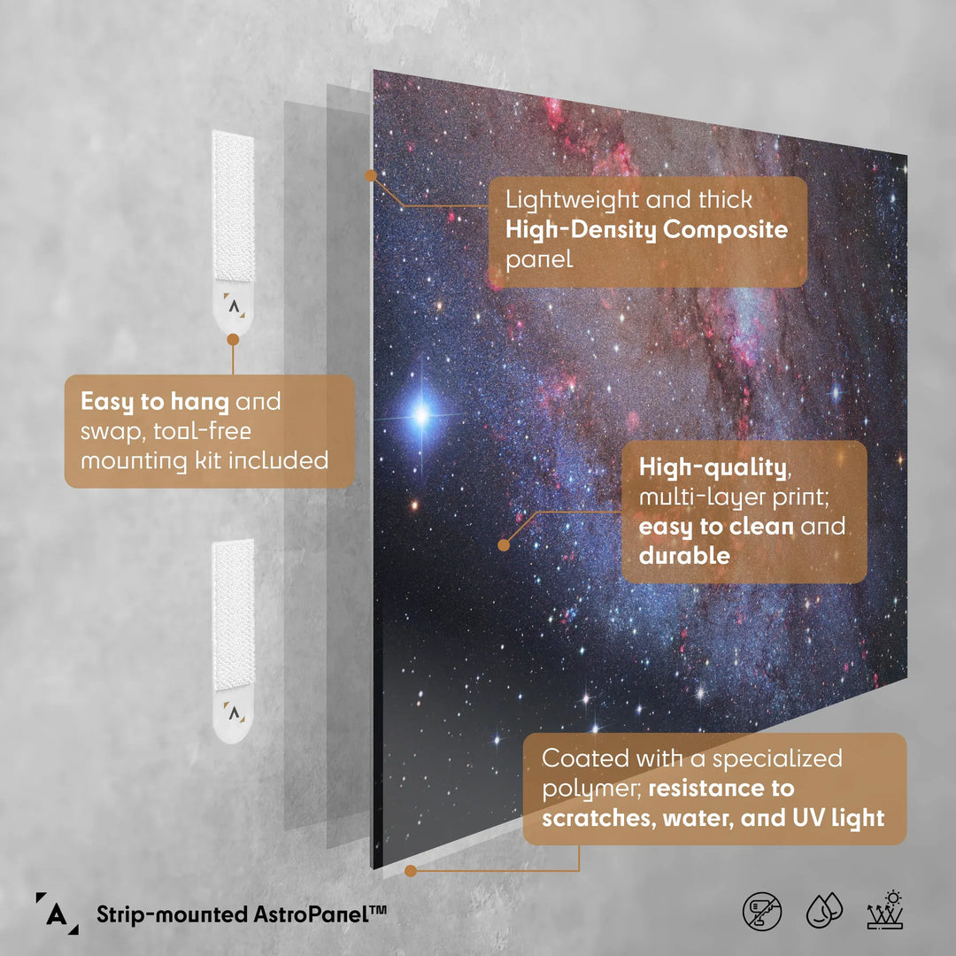 Robert Gendler: The Andromeda Galaxy - Southwest Arm (M31)