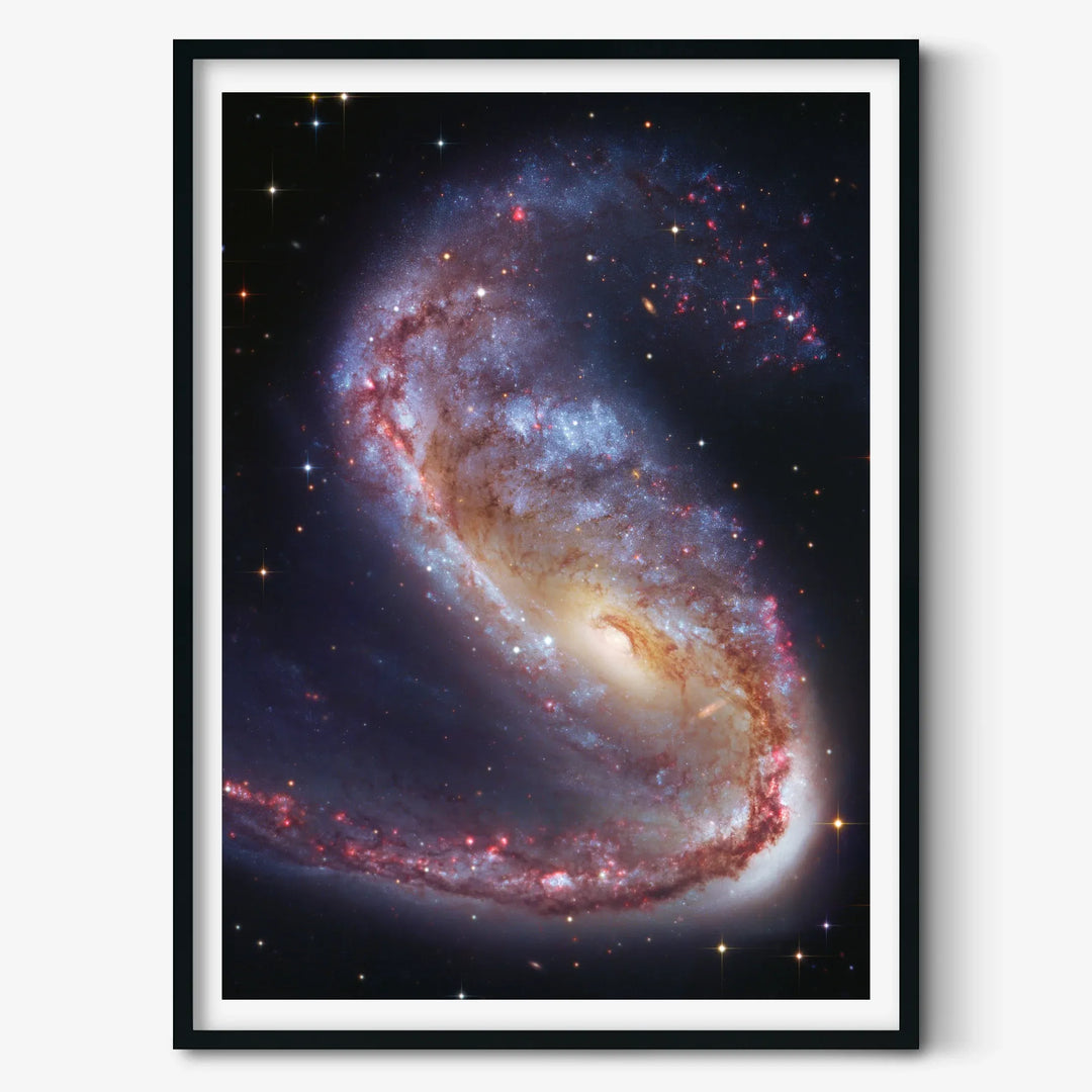 Robert Gendler: The Meathook Galaxy in Volans (NGC 2442) Poster
