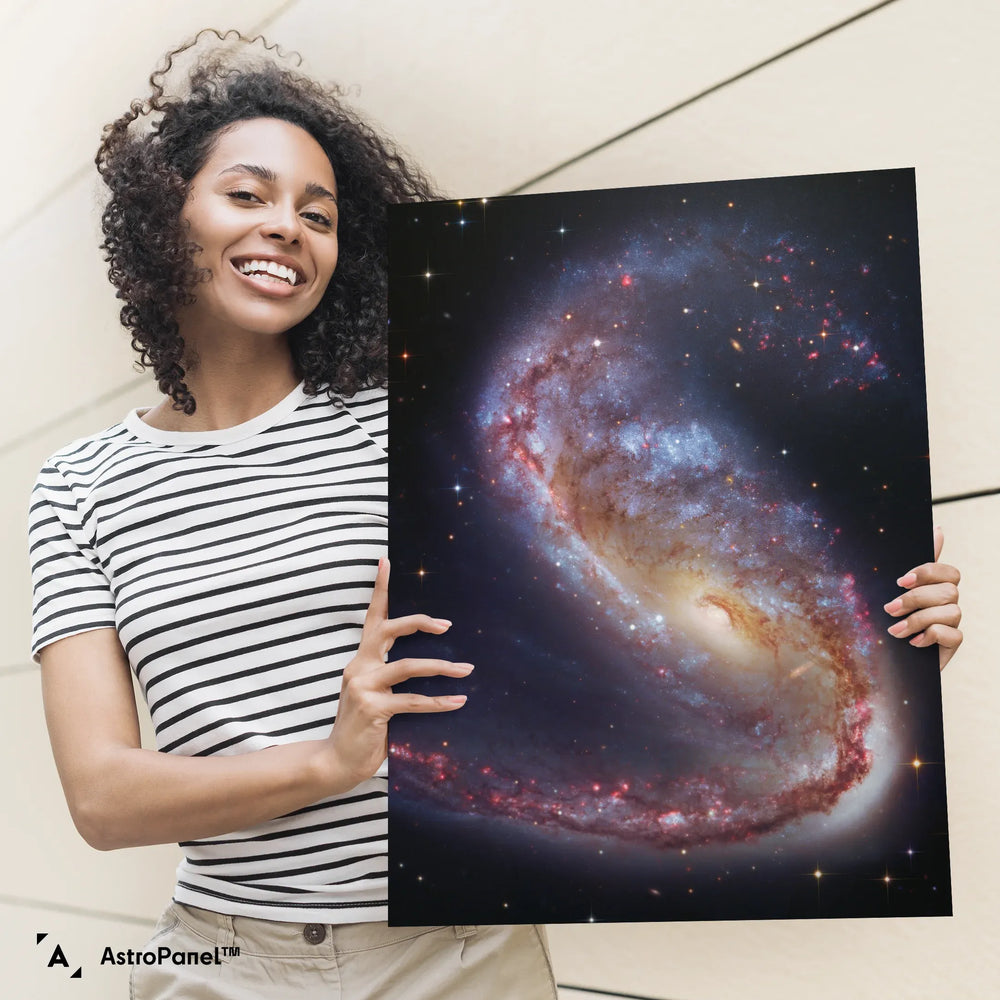 Robert Gendler: The Meathook Galaxy in Volans (NGC 2442) Poster