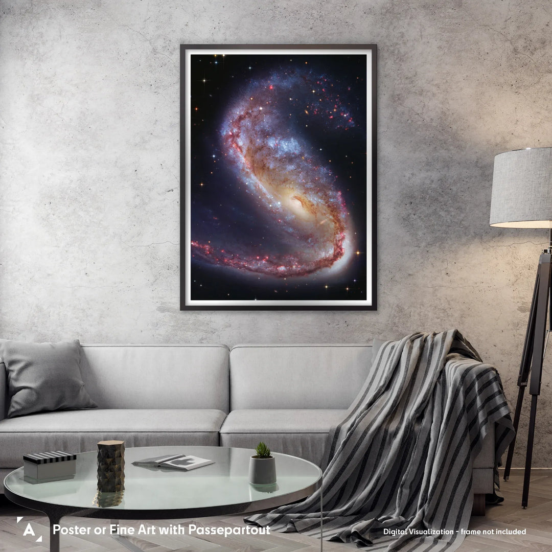 Robert Gendler: The Meathook Galaxy in Volans (NGC 2442) Poster