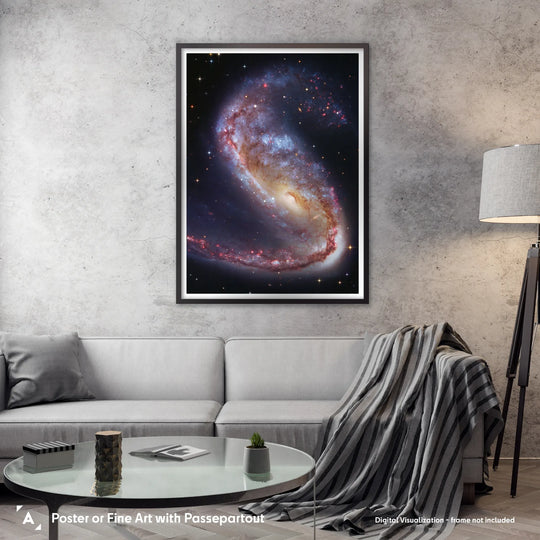 Robert Gendler: The Meathook Galaxy in Volans (NGC 2442) Poster