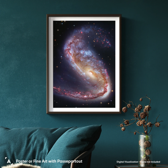Robert Gendler: The Meathook Galaxy in Volans (NGC 2442) Poster
