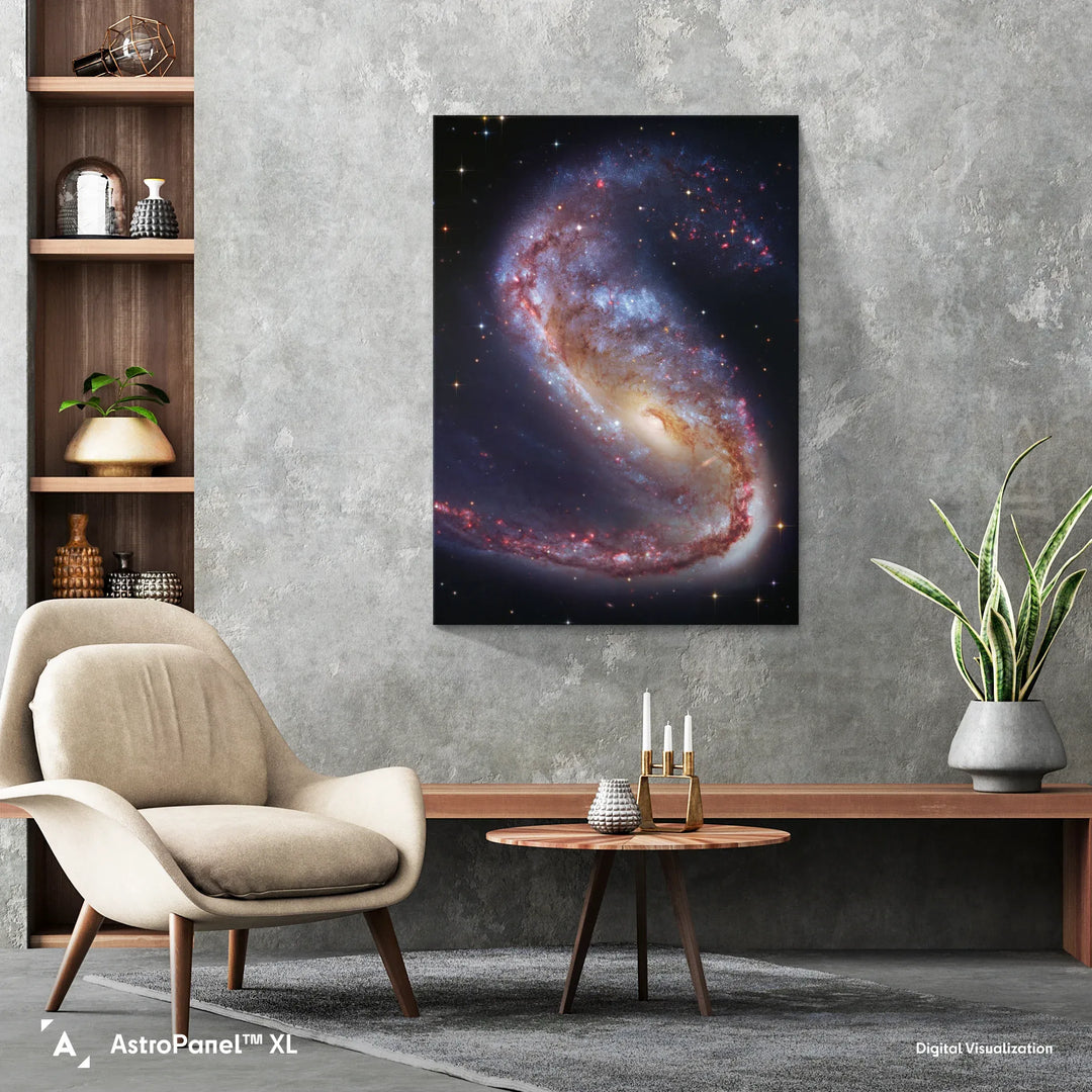 Robert Gendler: The Meathook Galaxy in Volans (NGC 2442) Poster