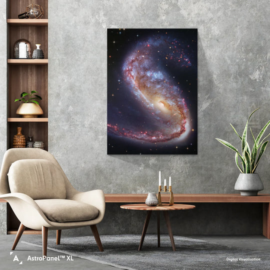 Robert Gendler: The Meathook Galaxy in Volans (NGC 2442) Poster