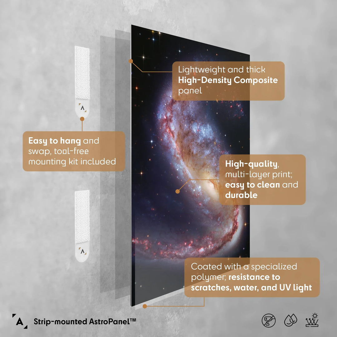 Robert Gendler: The Meathook Galaxy in Volans (NGC 2442) Poster