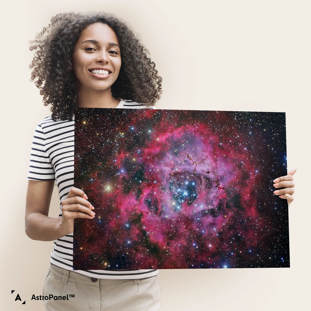 Robert Gendler: The Rosette Nebula in Monoceros Poster