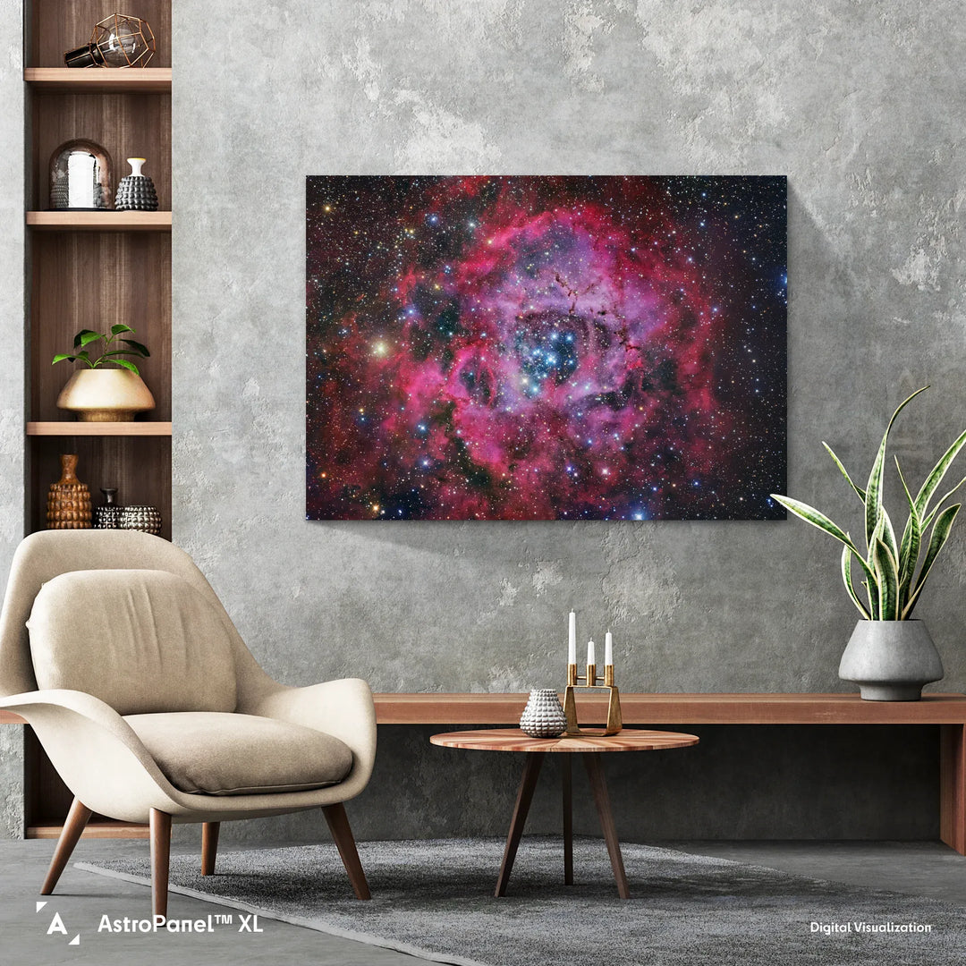 Robert Gendler: The Rosette Nebula in Monoceros Poster