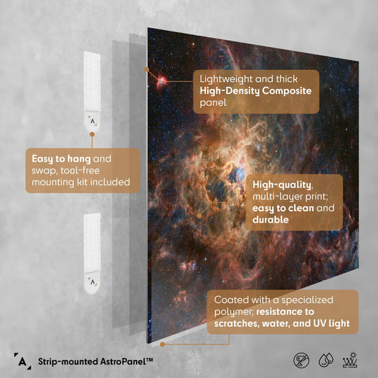Robert Gendler: The Tarantula Nebula (NGC 2070) Poster
