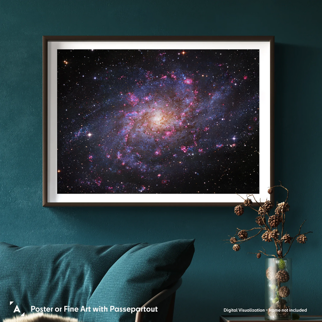 Robert Gendler: The Triangulum Galaxy (M33) Poster