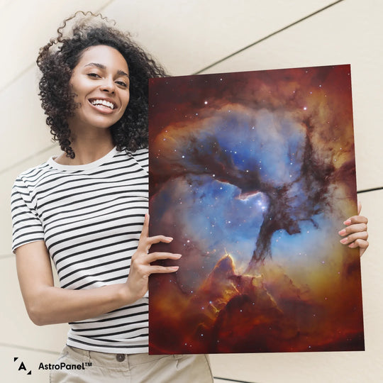 Robert Gendler: The Trifid Nebula in Sagittarius (M20) Poster