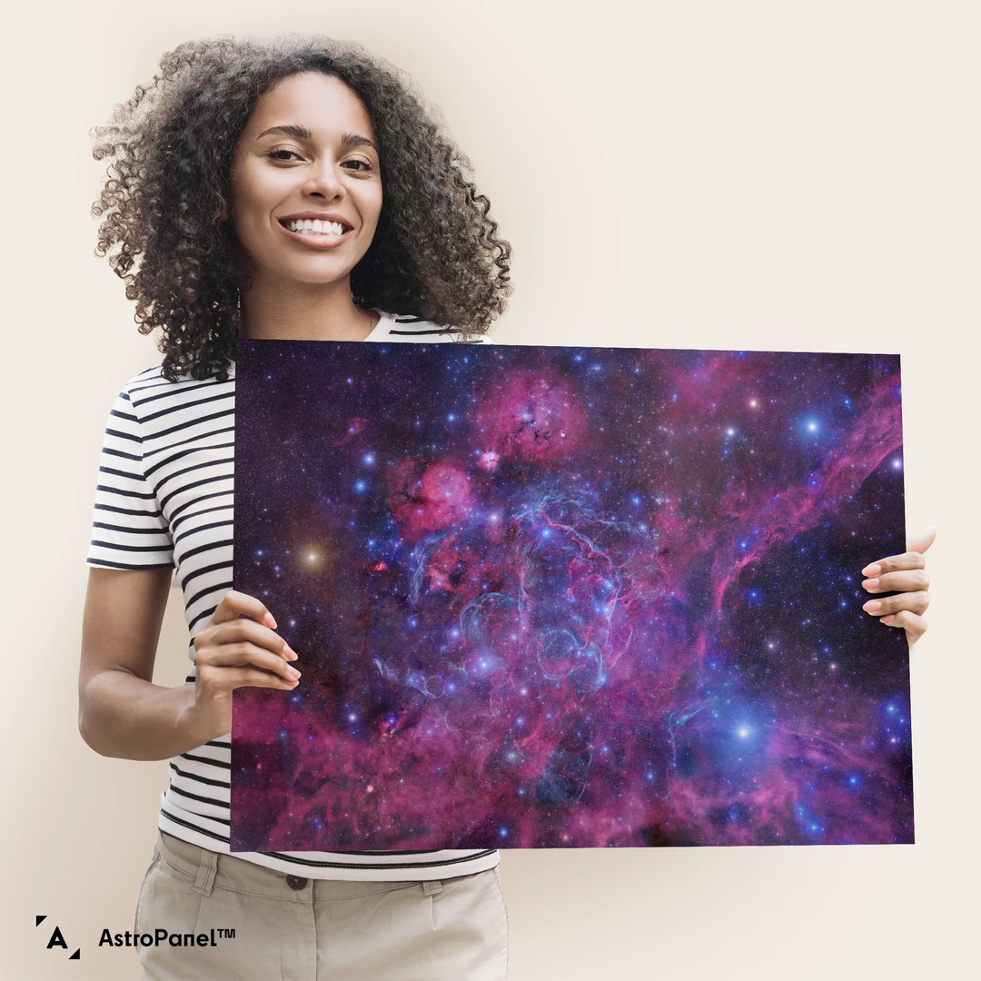 Robert Gendler: The Vela Supernova Remnant Poster