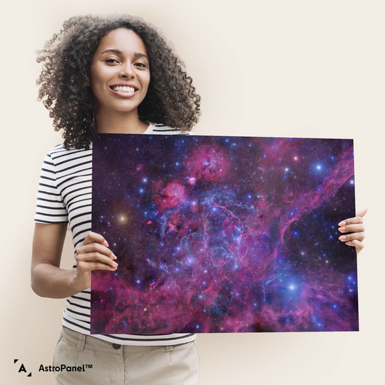 Robert Gendler: The Vela Supernova Remnant Poster