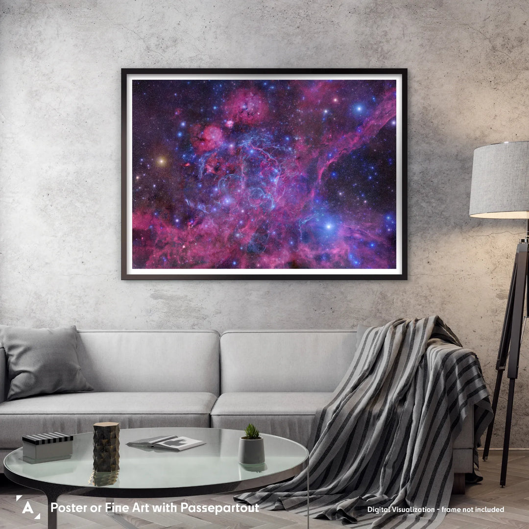 Robert Gendler: The Vela Supernova Remnant Poster