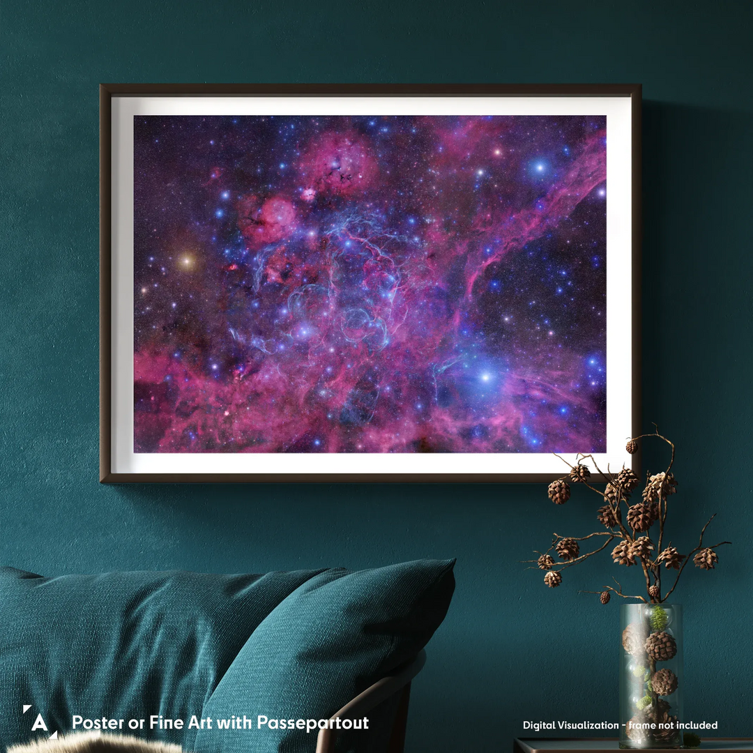 Robert Gendler: The Vela Supernova Remnant Poster