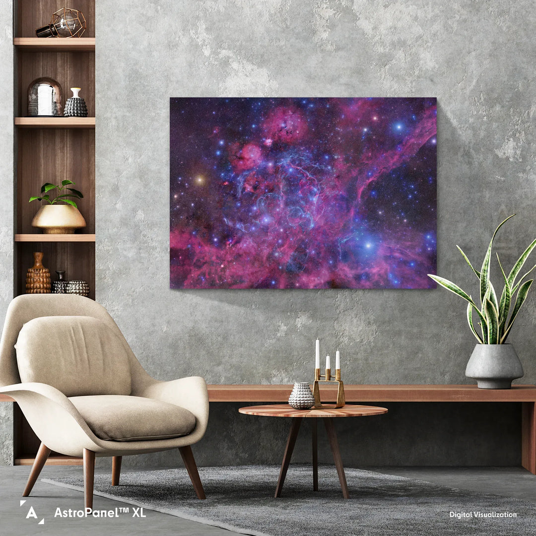 Robert Gendler: The Vela Supernova Remnant Poster