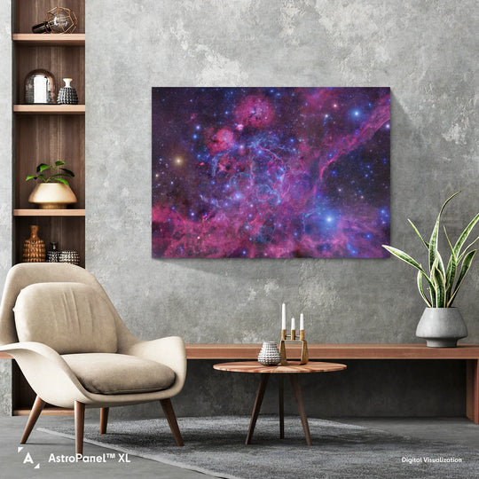 Robert Gendler: The Vela Supernova Remnant Poster