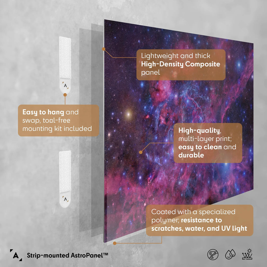 Robert Gendler: The Vela Supernova Remnant Poster