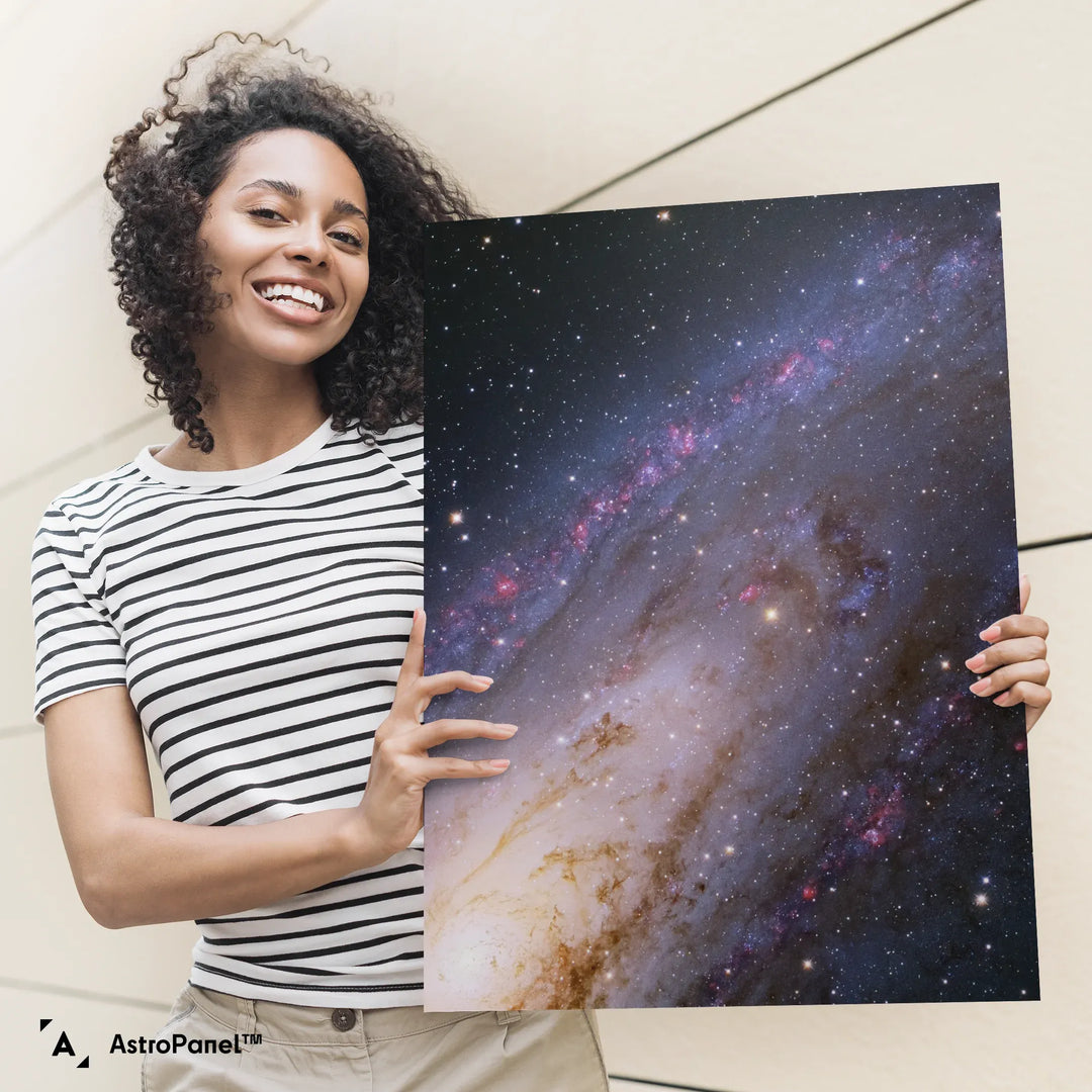 Jesion: The Andromeda Galaxy (M31) Poster