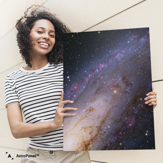 Jesion: The Andromeda Galaxy (M31) Poster