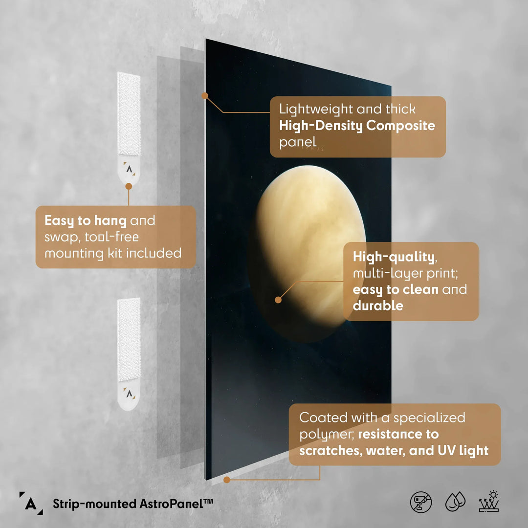 Tobias Roetsch: Venus Poster