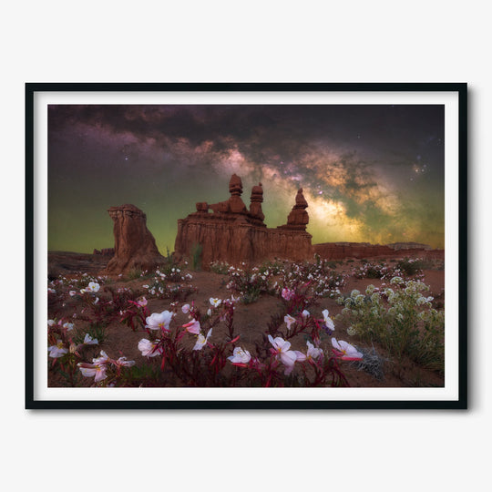 Marcin Zajac: Desert Bloom in Utah Poster