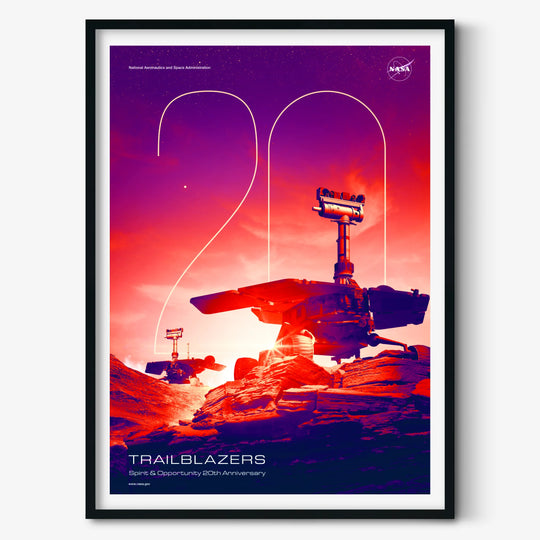 NASA Poster: Spirit & Opportunity (20th Anniversary)