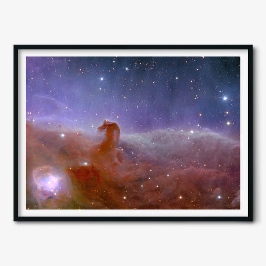 Euclid Telescope: Horsehead Nebula Poster