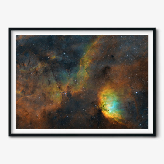 Paweł Radomski: Flower of the Milky Way Rift