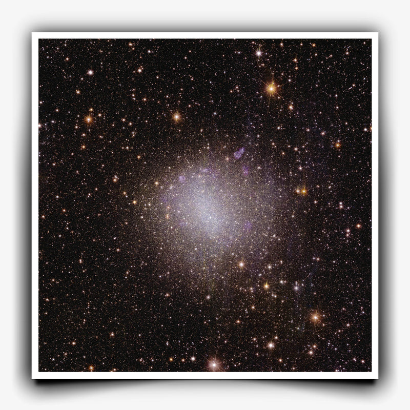 Euclid Telescope Poster: Irregular Galaxy 6822