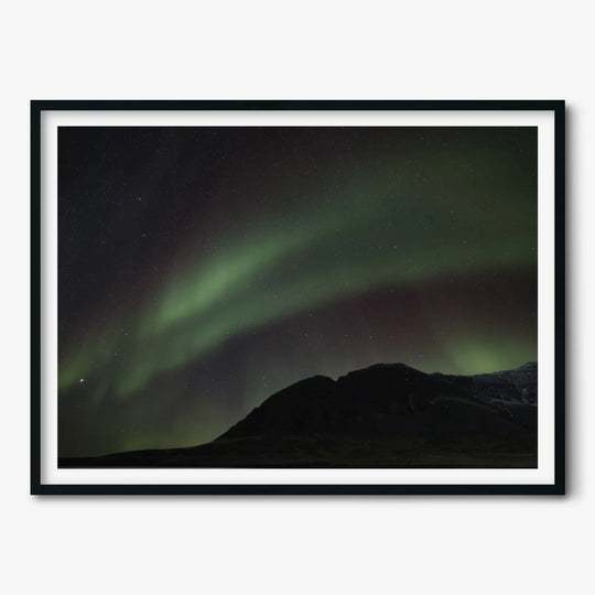 Paweł Radomski: Peacefulness of the nature